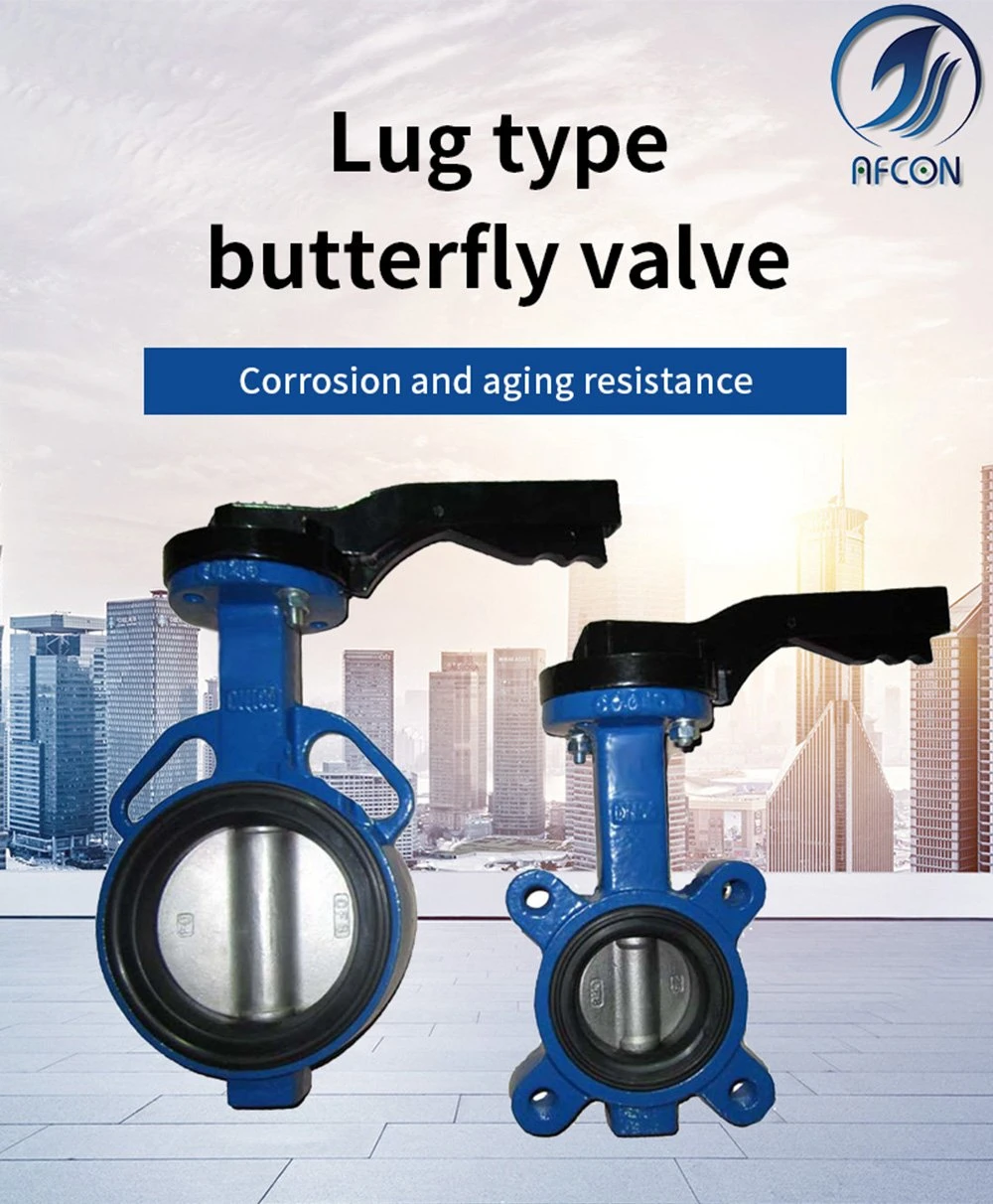 Soft Seat Stainless Steel 316 Full Lug Butterfly Valve with Lever